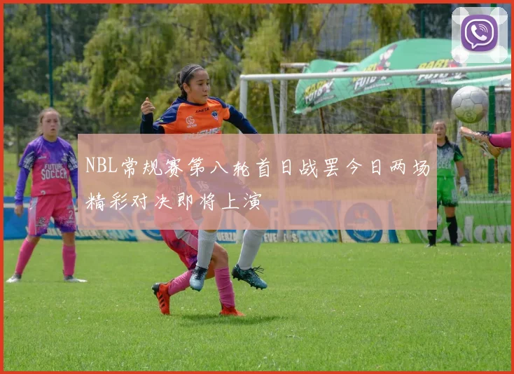 NBL常规赛第八轮首日战罢今日两场精彩对决即将上演