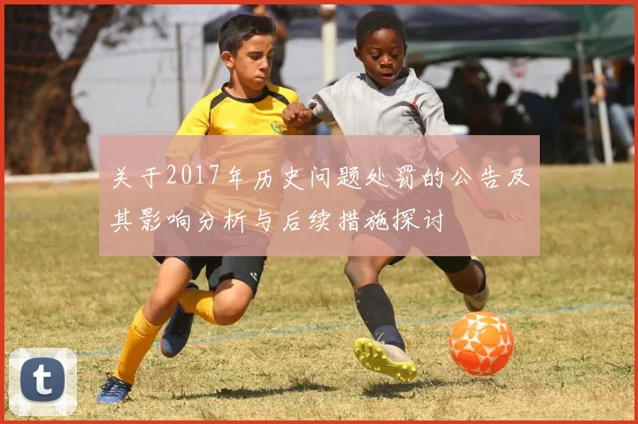 关于2017年历史问题处罚的公告及其影响分析与后续措施探讨