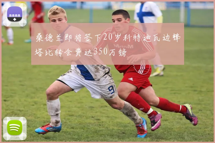 桑德兰即将签下20岁科特迪瓦边锋塔比转会费达350万镑