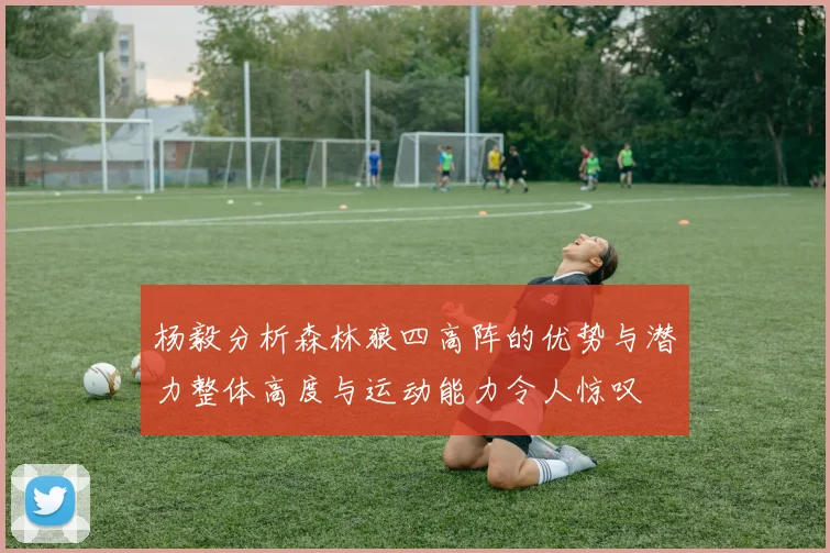 杨毅分析森林狼四高阵的优势与潜力整体高度与运动能力令人惊叹
