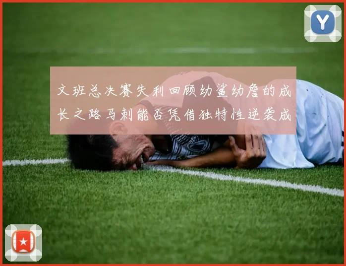 文班总决赛失利回顾幼鲨幼詹的成长之路马刺能否凭借独特性逆袭成功