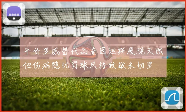 平价罗威替代品奎因坦斯展现天赋但伤病隐忧罚球风格致敬米切罗