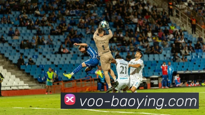 互动解说服务